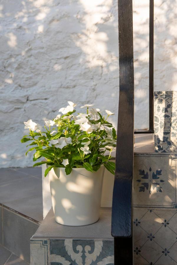 Stunning Home Benamahoma 4 Bed - Sierra Grazalema 외부 사진