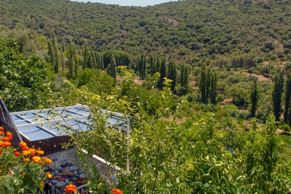 Stunning Home Benamahoma 4 Bed - Sierra Grazalema 외부 사진